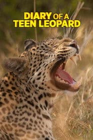 Diary of a Teen Leopard
