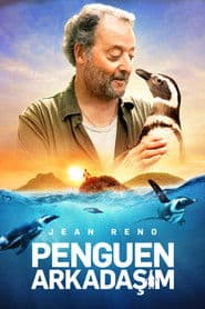 Penguen Arkadaşım
