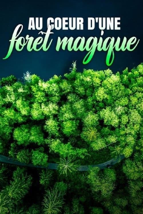 Au cœur d'une forêt magique
